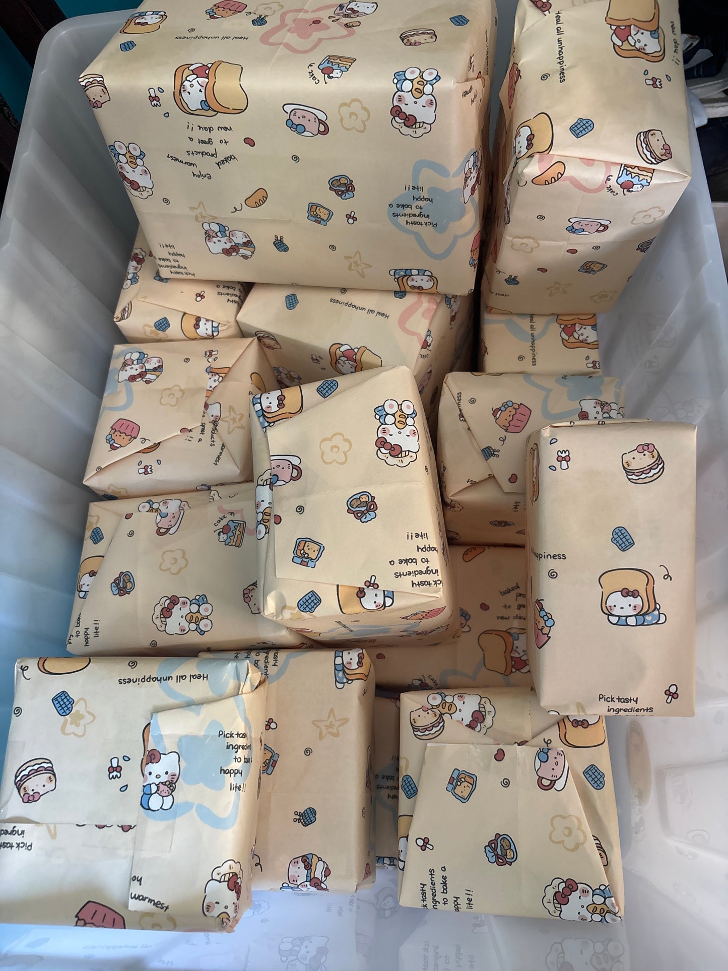 $20 Confirmed Plush Blind Box Lucky Dip!