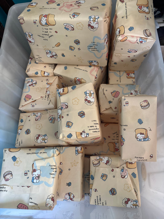 $20 Confirmed Plush Blind Box Lucky Dip!