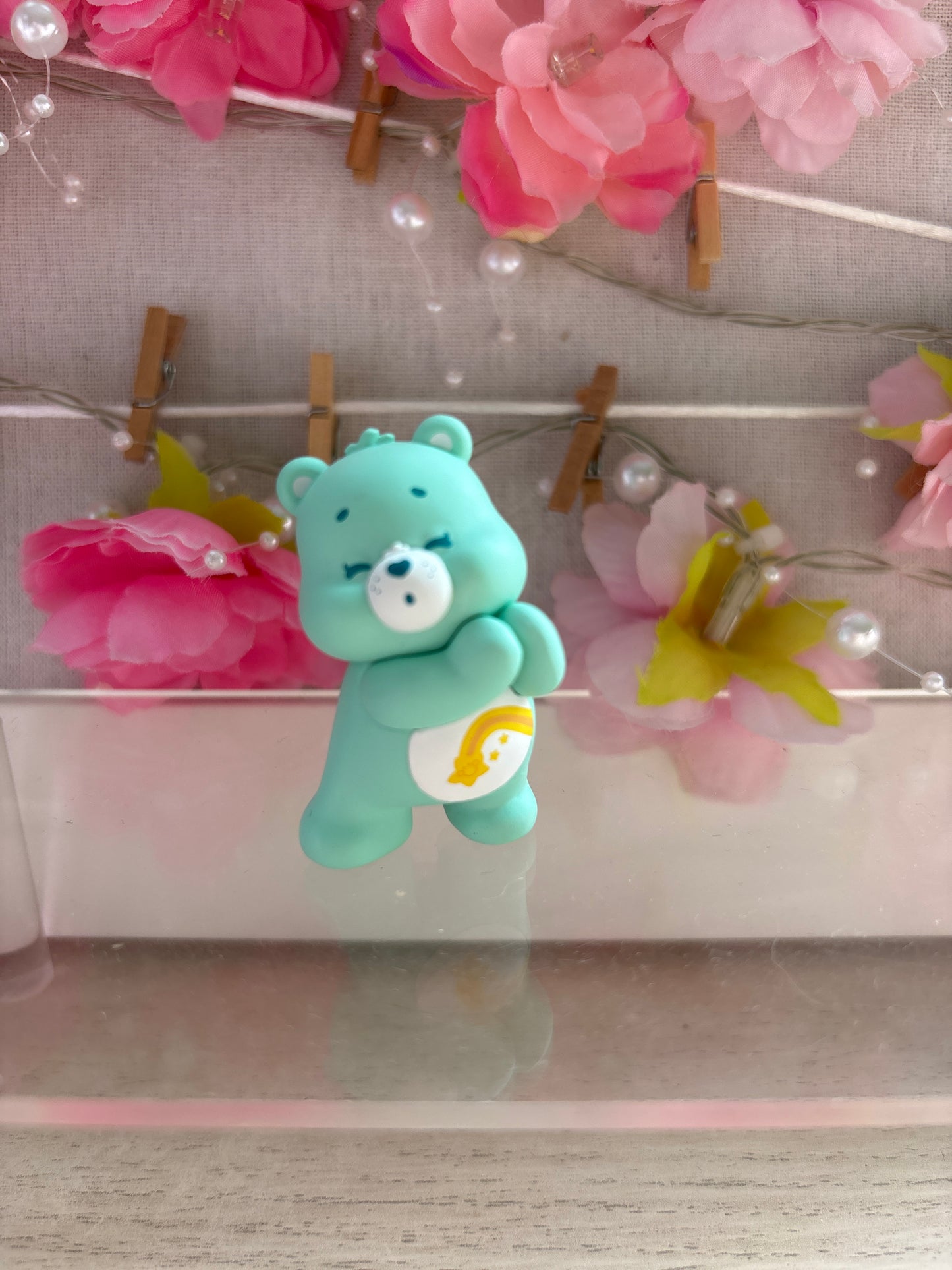 Care Bears - Little Things Chubby Face