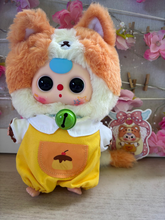 Confirmed Baby Three “Orange and White Kitten”